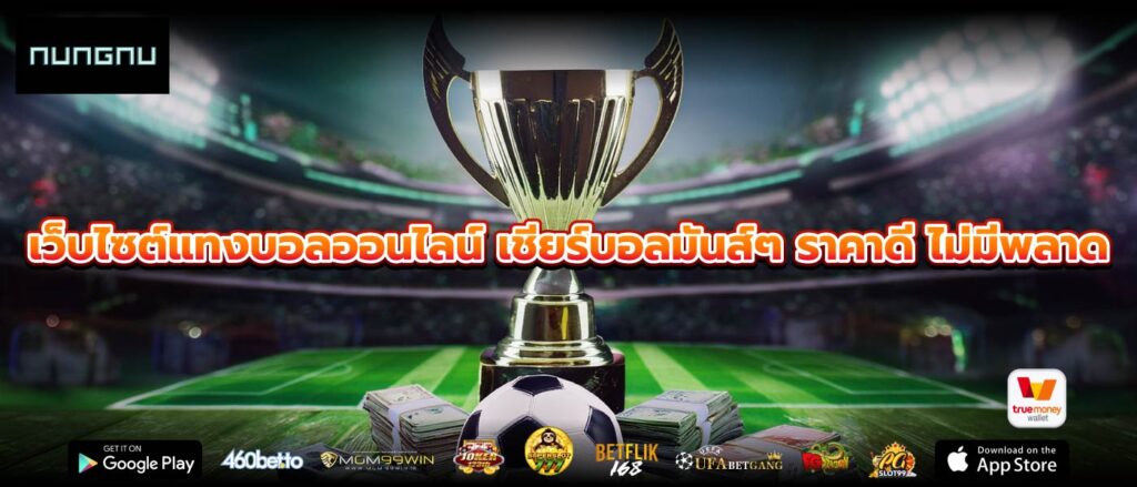 เว็บไซต์แทงบอลออนไลน์ เชียร์บอลมันส์ๆ ราคาดี ไม่มีพลาด